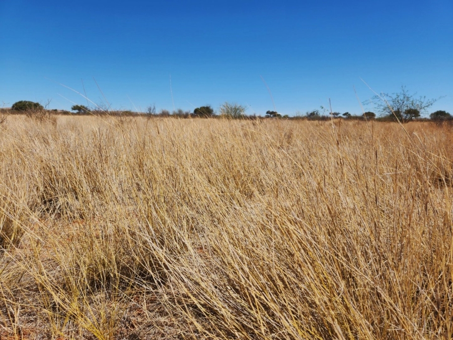 Commercial Property for Sale in Groblershoop Northern Cape